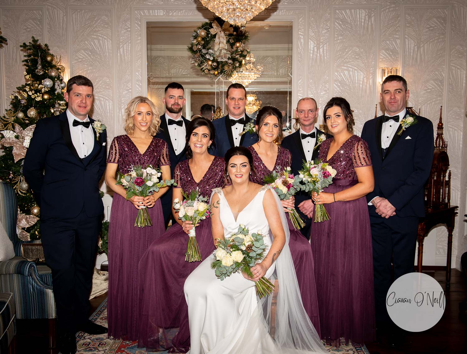 Bride and groom with bridal party in Darver Castle Ireland