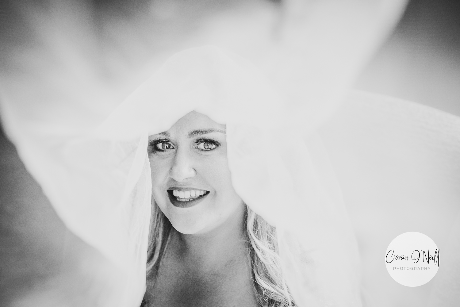 Close-up of the bride under the veil