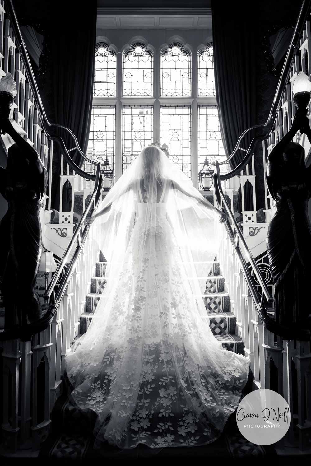 Bride lit from behind on stairs in Cabra Castle